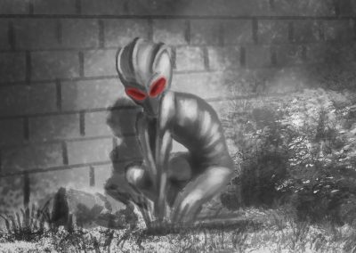 The Alien of Varginha